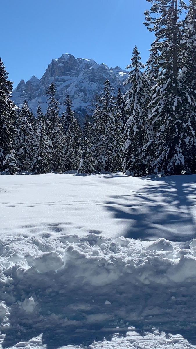 Francesco Gennari - Tutta la mia emotività sotto due nevicate